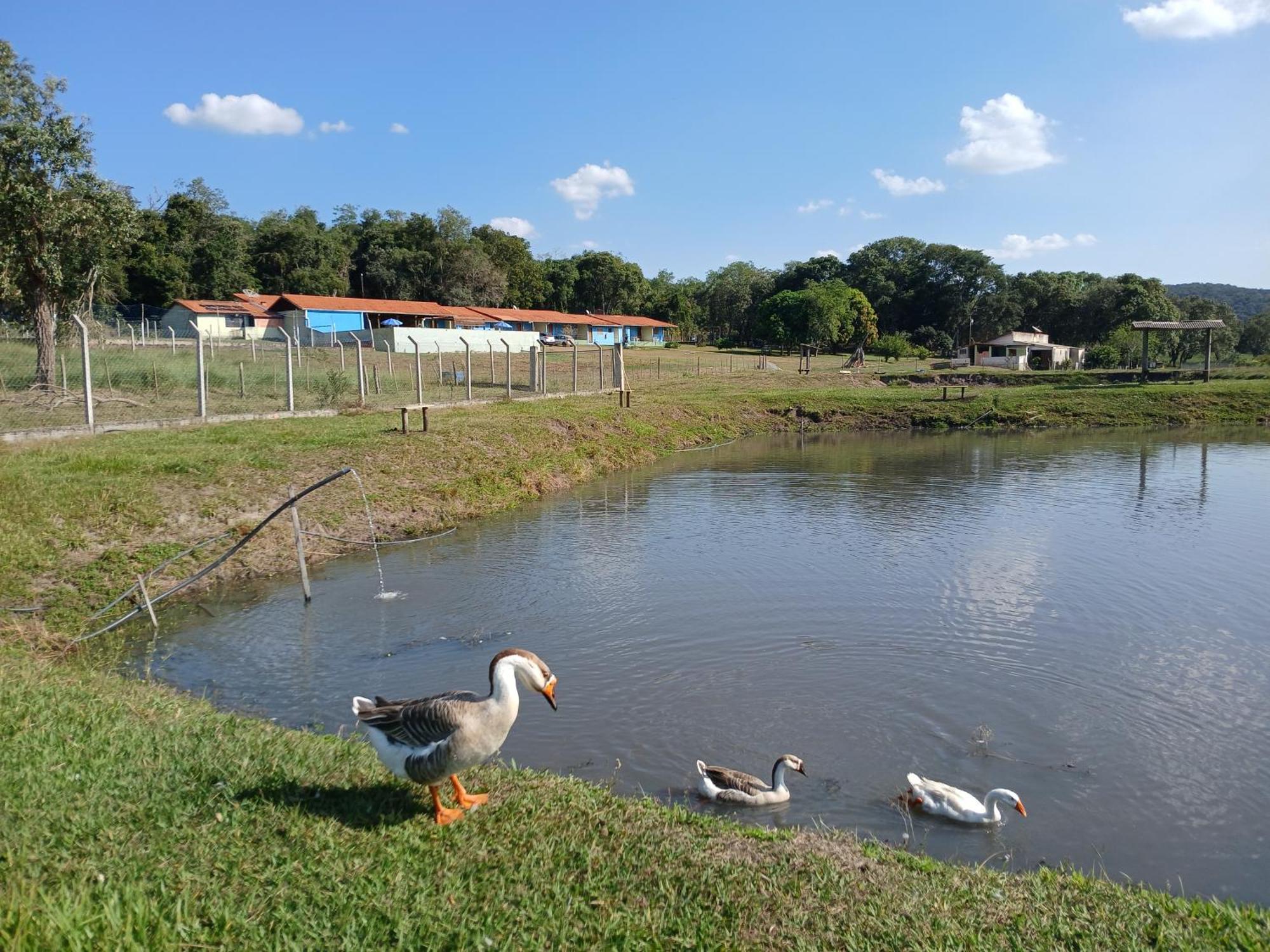 Hotel Fazenda Recanto Do Monte Alegre ปิราชู ภายนอก รูปภาพ