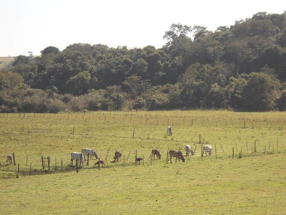 Hotel Fazenda Recanto Do Monte Alegre ปิราชู ภายนอก รูปภาพ
